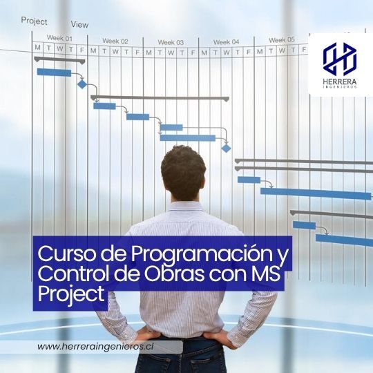 Curso de Programación y Control de Proyectos con MS Project - flyer 540x540