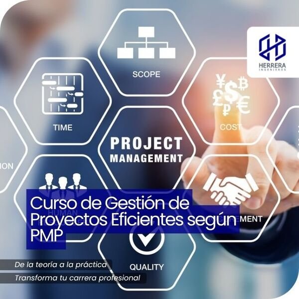 Curso de Gestión de Proyectos Eficientes según PMP - flyer