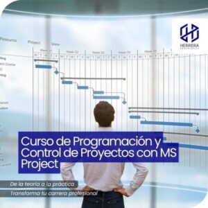 Curso de Programación y Control de Proyectos con MS Project - flyer