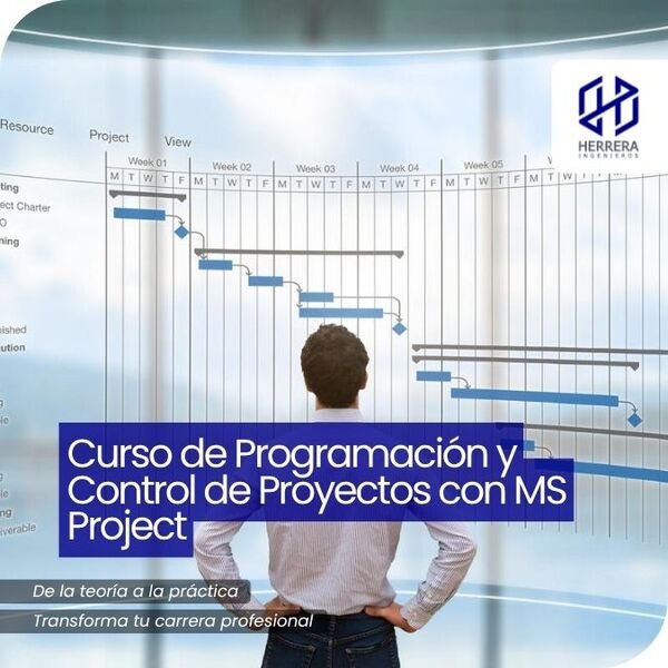 Curso de Programación y Control de Proyectos con MS Project - flyer