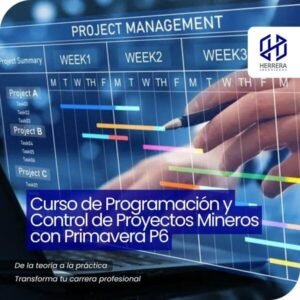Curso de Programación y Control de Proyectos Mineros con Primavera P6