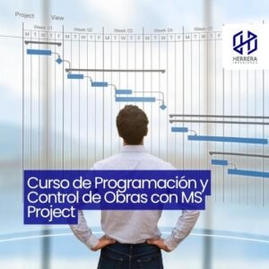 Curso de Programación y Control de Proyectos con MS Project - flyer HERRERA INGENIEROS