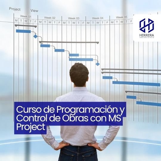 Curso de Programación y Control de Proyectos con MS Project - flyer HERRERA INGENIEROS